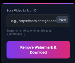 Sora Watermark Remover tool interface showing where to paste the video link and download